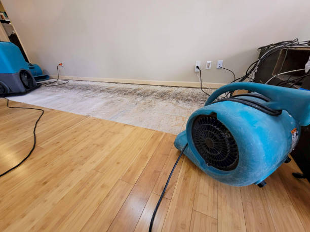 Professional Flood Damage Cleanup technician working in Hollywood, AL